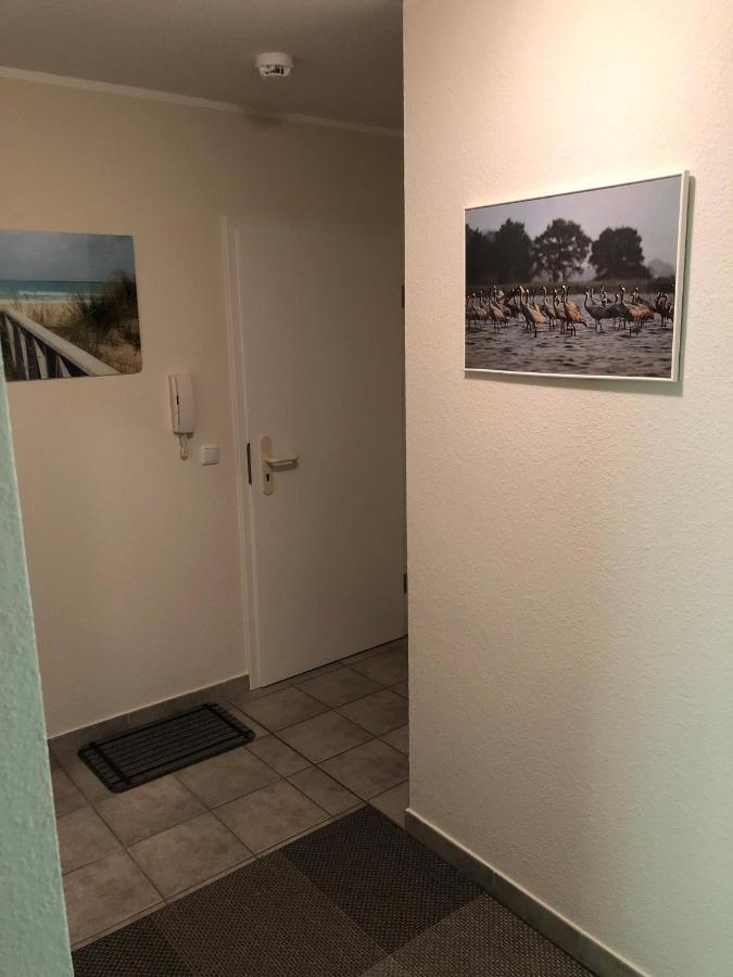 Darsser Weg 38A Zingst Extérieur photo
